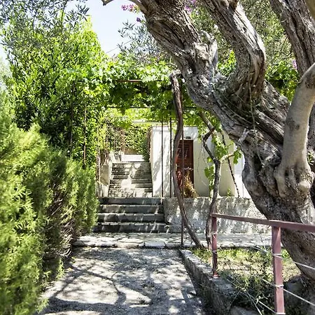 Maison d'hôtes Skoko 3*