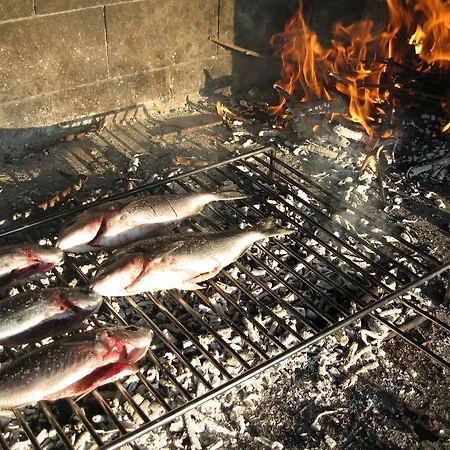 Skoko Slatine