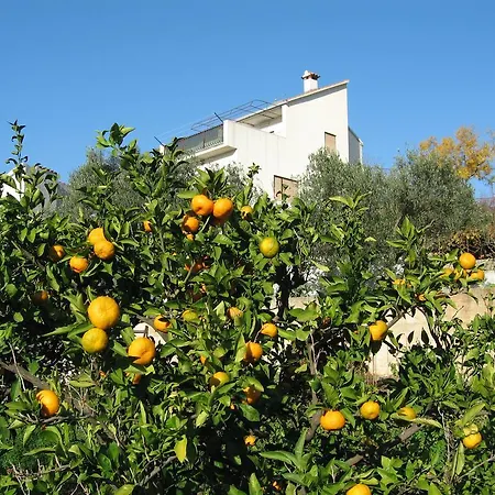 Guest house Skoko