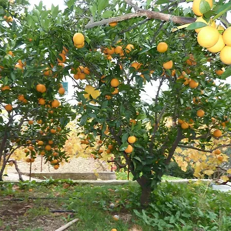 Πανσιόν Skoko 3*