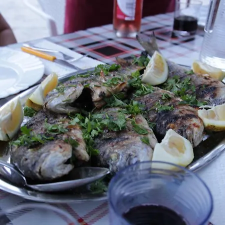 Πανσιόν Skoko Slatine