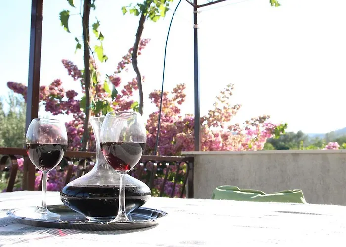 בית הארחה Skoko 3*